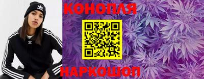 гидропоника Балашиха
